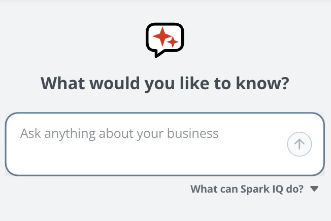 Ask Spark anything about your business